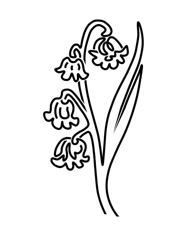 Création de logo, Textile Français, 2024 itskinnie it'skinnie textile adn communication visuelle graphisme vetement mode identite consulting